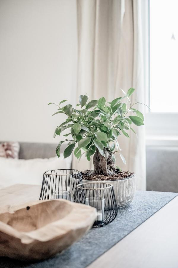 Lounge Apartment